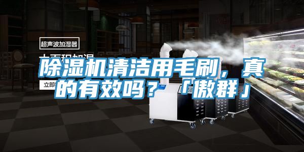 PICACG哔咔官网入口清潔用毛刷，真的有效嗎？「傲群」