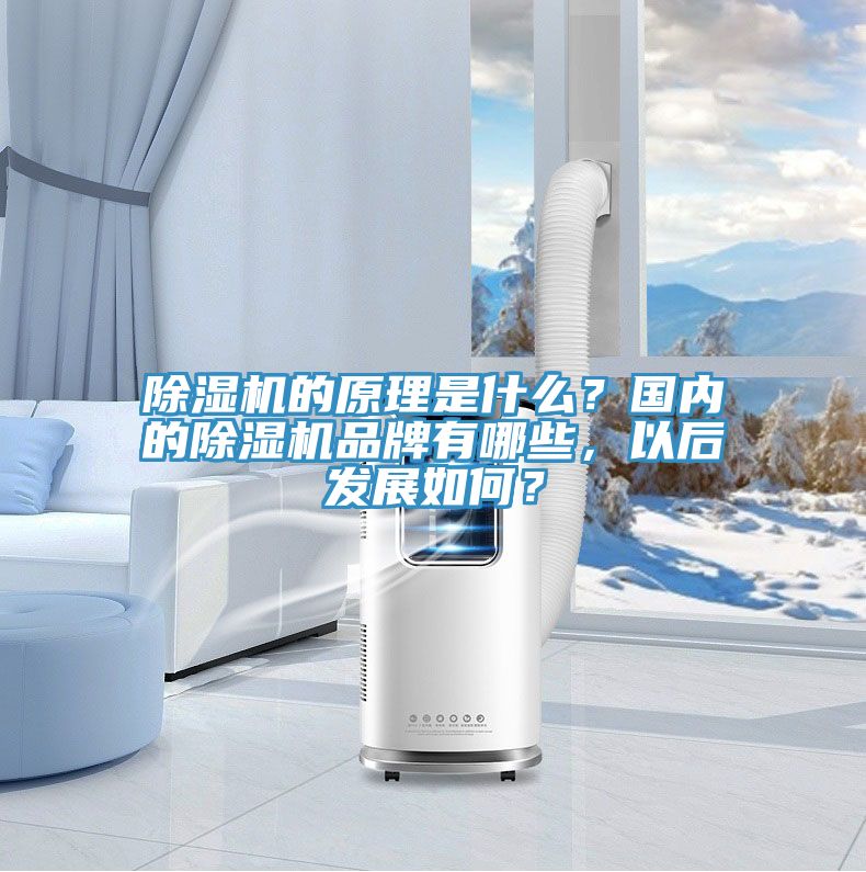 PICACG哔咔官网入口的原理是什麽？國內的PICACG哔咔官网入口品牌有哪些，以後發展如何？