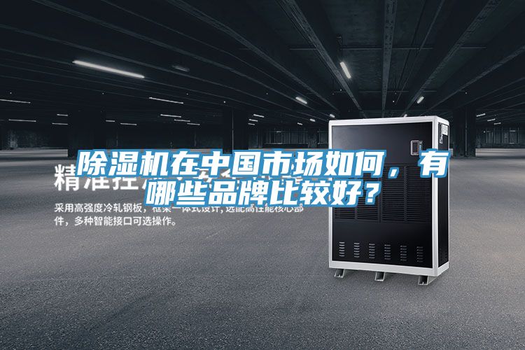 PICACG哔咔官网入口在中國市場如何，有哪些品牌比較好？