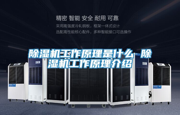 PICACG哔咔官网入口工作原理是什麽 PICACG哔咔官网入口工作原理介紹