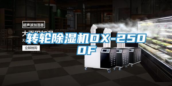 轉輪PICACG哔咔官网入口DX-2500F