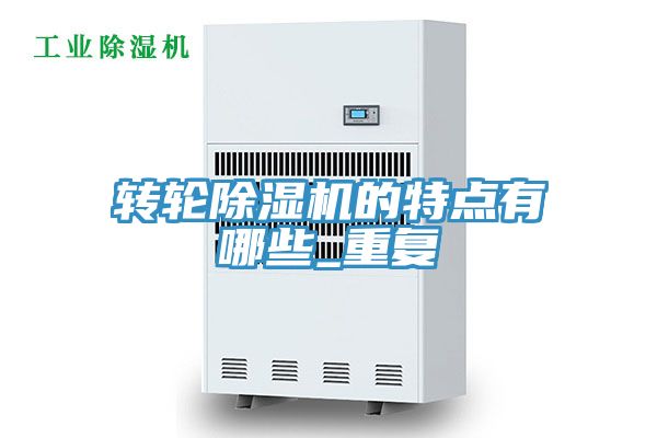 轉輪PICACG哔咔官网入口的特點有哪些_重複