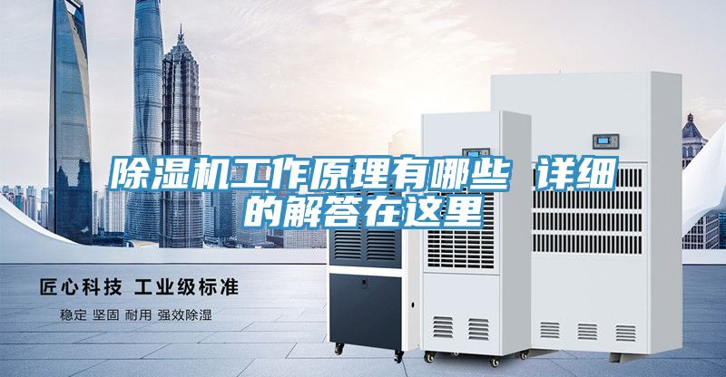 PICACG哔咔官网入口工作原理有哪些 詳細的解答在這裏