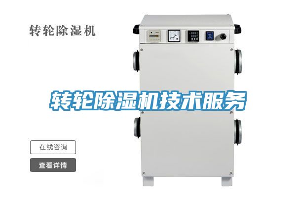 轉輪PICACG哔咔官网入口技術服務