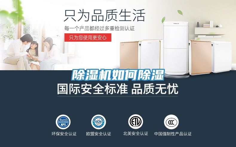 PICACG哔咔官网入口如何除濕