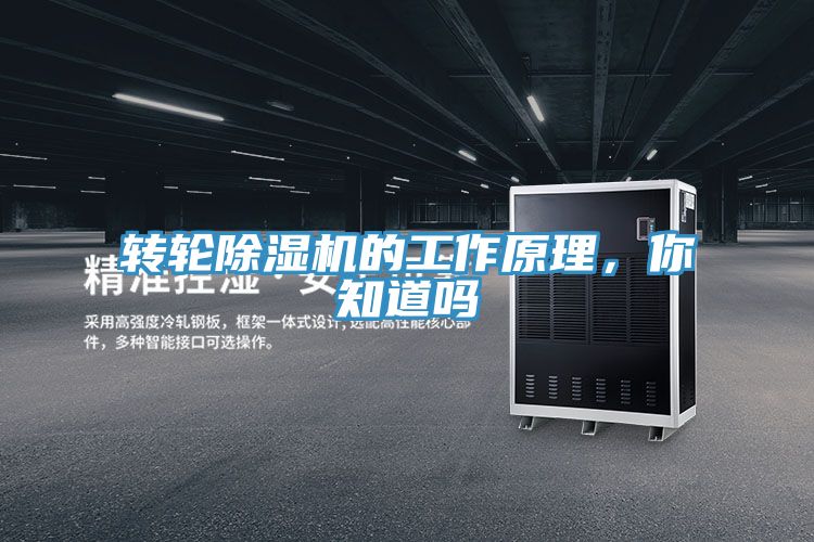 轉輪PICACG哔咔官网入口的工作原理，你知道嗎