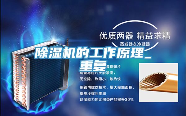 PICACG哔咔官网入口的工作原理_重複