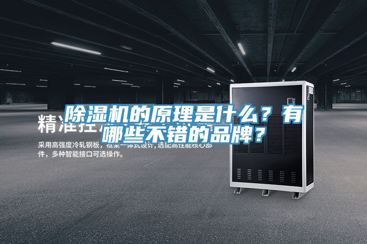 PICACG哔咔官网入口的原理是什麽？有哪些不錯的品牌？