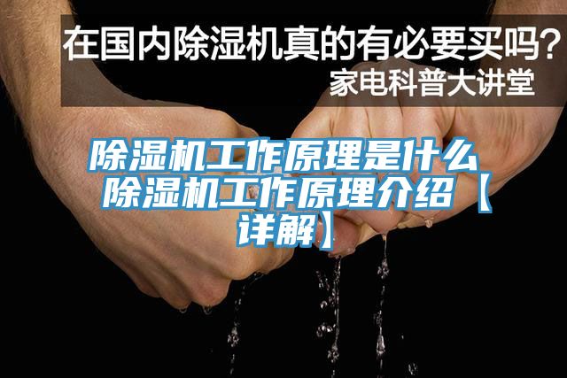 PICACG哔咔官网入口工作原理是什麽 PICACG哔咔官网入口工作原理介紹【詳解】