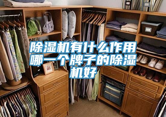 PICACG哔咔官网入口有什麽作用哪一個牌子的PICACG哔咔官网入口好