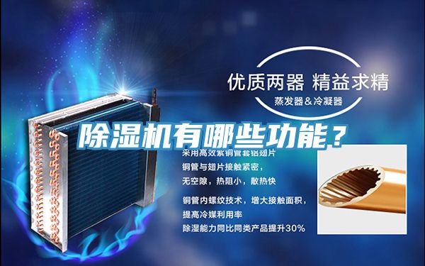 PICACG哔咔官网入口有哪些功能？