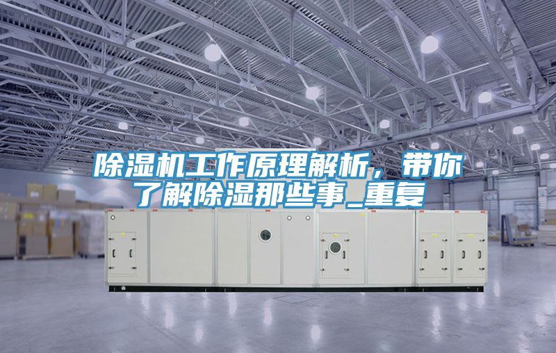 PICACG哔咔官网入口工作原理解析，帶你了解除濕那些事_重複