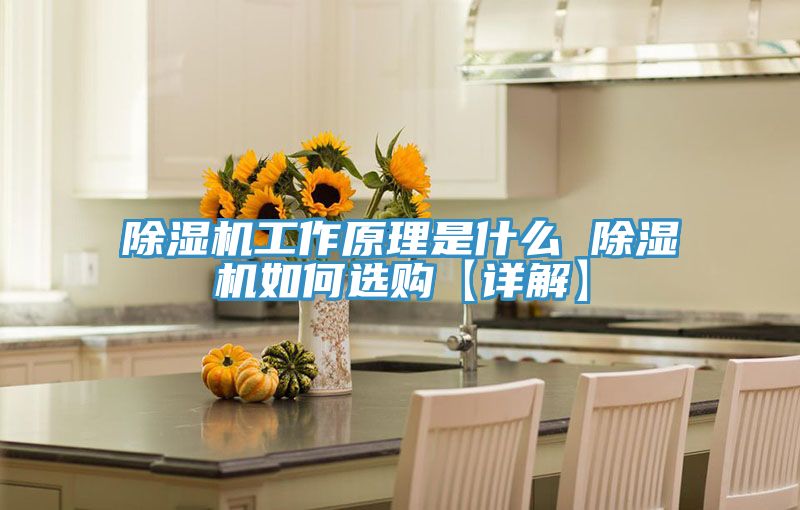 PICACG哔咔官网入口工作原理是什麽 PICACG哔咔官网入口如何選購【詳解】