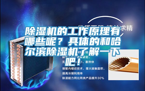 PICACG哔咔官网入口的工作原理有哪些呢？具體的和哈爾濱PICACG哔咔官网入口了解一下吧！