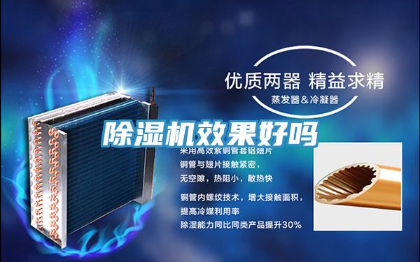 PICACG哔咔官网入口效果好嗎