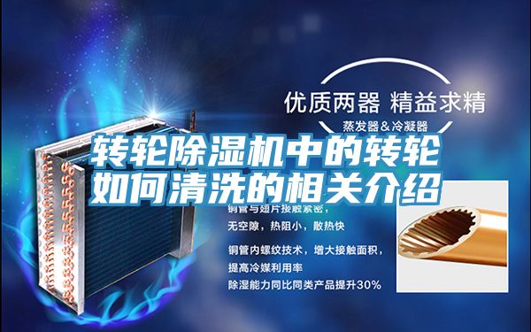 轉輪PICACG哔咔官网入口中的轉輪如何清洗的相關介紹