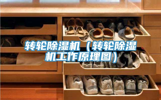 轉輪PICACG哔咔官网入口（轉輪PICACG哔咔官网入口工作原理圖）