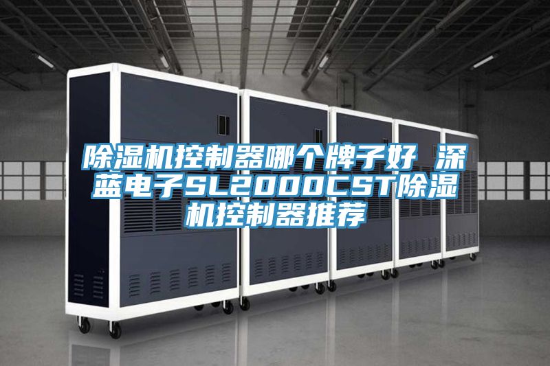 PICACG哔咔官网入口控製器哪個牌子好 深藍電子SL2000CSTPICACG哔咔官网入口控製器推薦