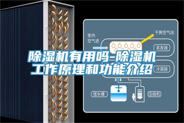 PICACG哔咔官网入口有用嗎-PICACG哔咔官网入口工作原理和功能介紹