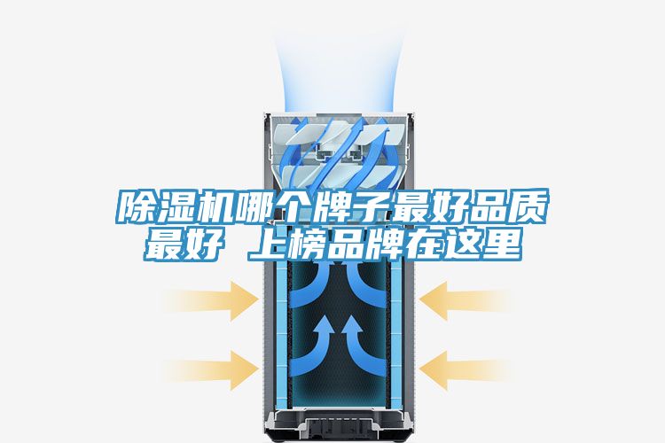 PICACG哔咔官网入口哪個牌子最好品質最好 上榜品牌在這裏