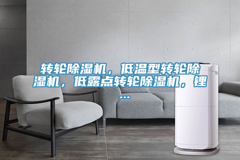 轉輪PICACG哔咔官网入口，低溫型轉輪PICACG哔咔官网入口，低露點轉輪PICACG哔咔官网入口，鋰 ...