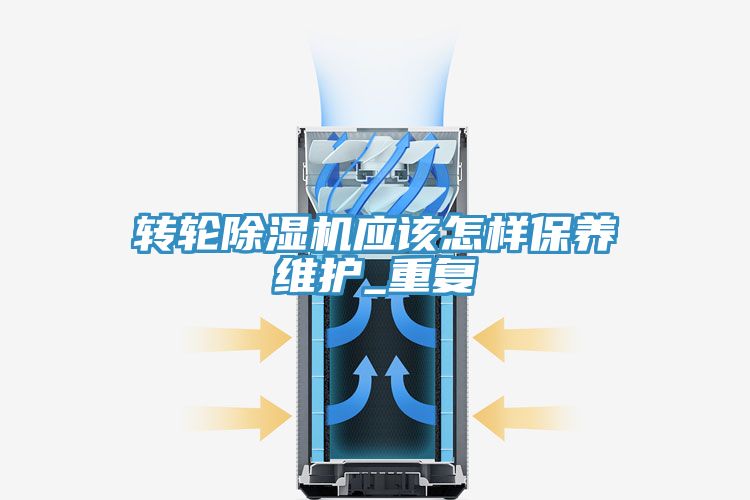 轉輪PICACG哔咔官网入口應該怎樣保養維護_重複