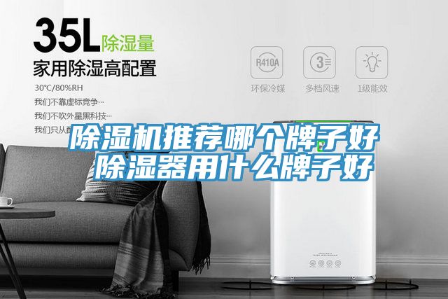 PICACG哔咔官网入口推薦哪個牌子好 除濕器用什麽牌子好